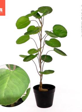 绿色桐福仿真绿橄榄树大号植物树AVC内盆地栽盆景植室落橱窗装饰