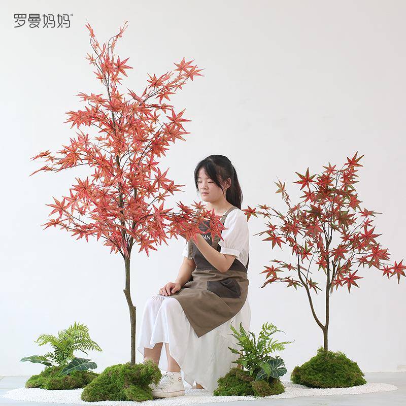 以法日式DMW风莲真绿植盆仿栽大型造景落枫树盆景室内地橱窗方案