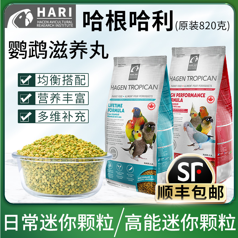 正品加拿大哈根哈利鹦鹉滋养丸中小型高能日常饲料牡丹玄凤鸟粮食