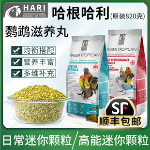 正品加拿大哈根哈利鹦鹉滋养丸中小型高能日常饲料牡丹玄凤鸟粮食