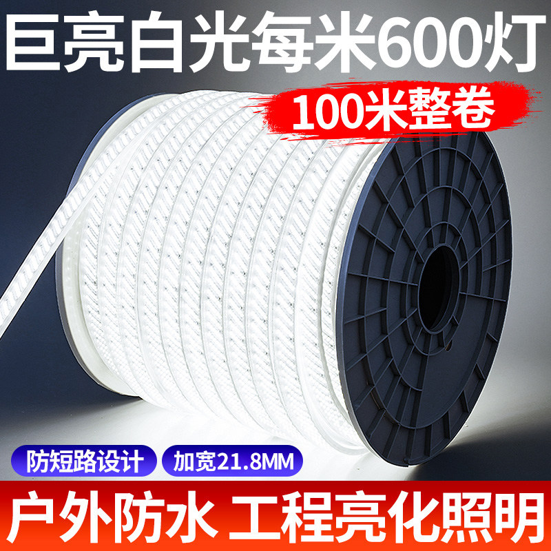 白光灯带led灯条220v客厅吊顶白色亮户外防水养殖场工地照明