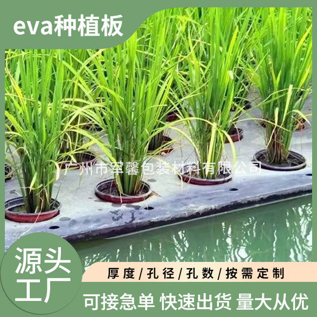厂家直销水稻种植浮床浮板水培蔬菜定值漂浮板 牛蛙垫板