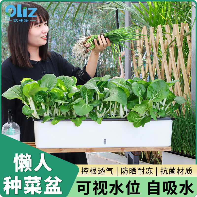 欧林泽新款种菜盆家庭阳台种菜种花长条方形窄盆懒人塑料花盆批发