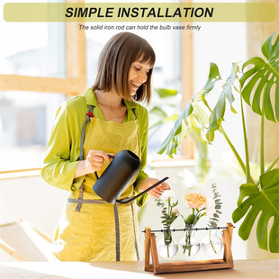 植物玻璃容器带木架空气花盆灯泡玻璃花瓶金属旋转支架复古桌面