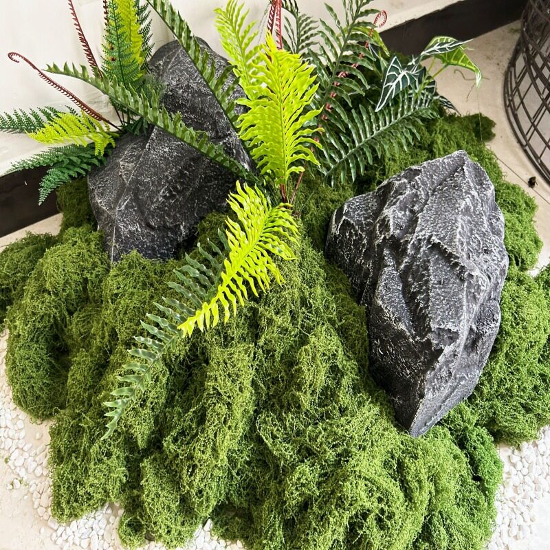 仿真植物套装苔藓草坪石头线蕨叶龟贝叶景观装饰品商场橱窗幼儿园