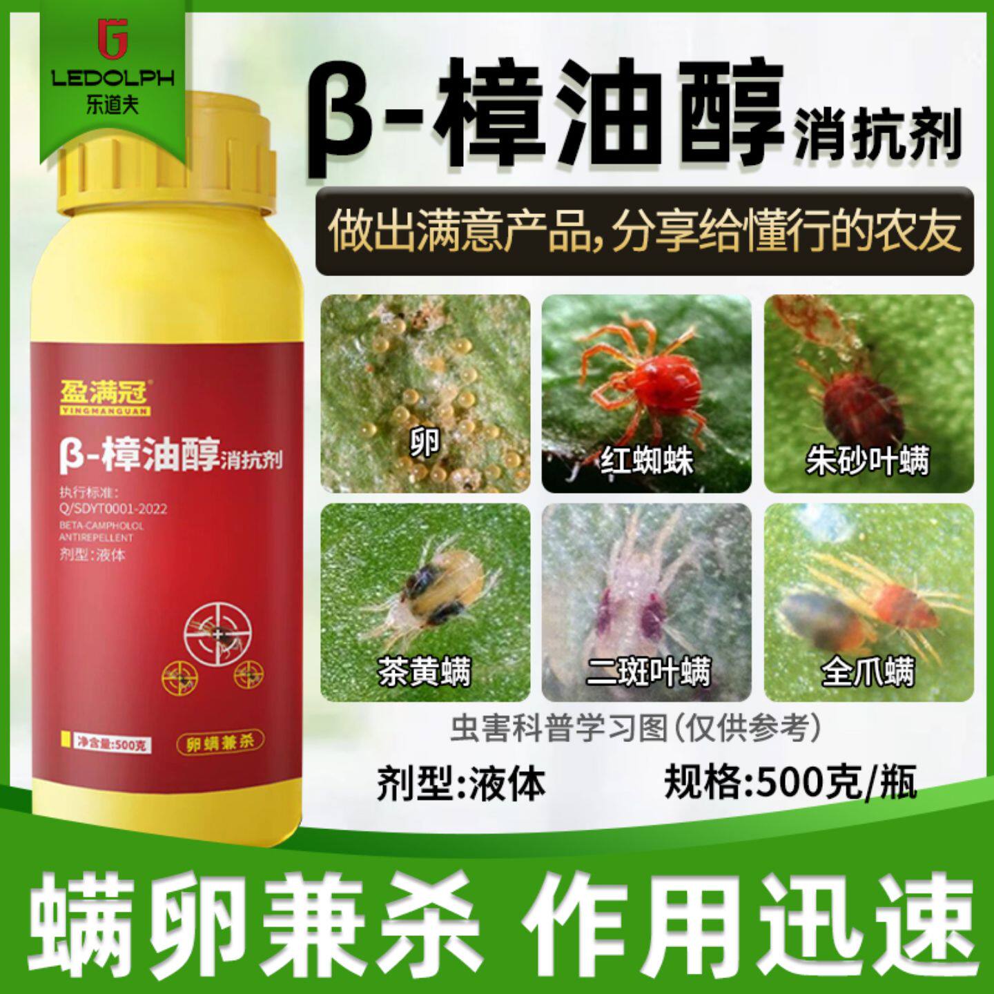 β-樟油醇红蜘蛛专用助剂杀虫剂柑橘果树红蜘蛛二斑叶螨虫卵双杀