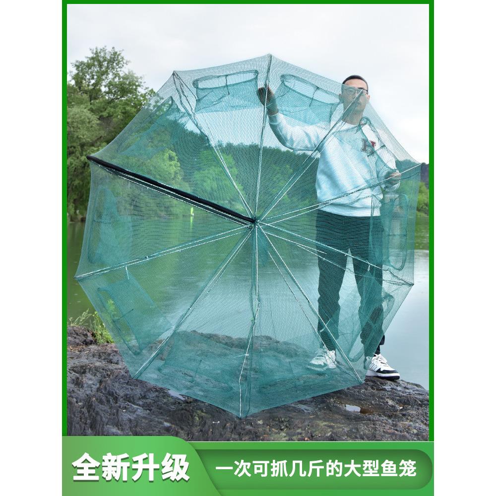 折叠式渔网鱼笼适用于黄鳝泥鳅龙虾螃蟹捕鱼工具