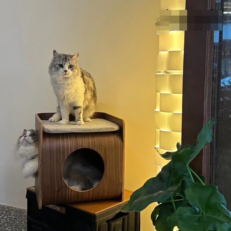 猫窝茶几凳子椅子猫窝茶几一体床头柜小型猫狗房子实木质双层猫屋