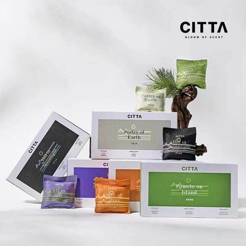 CITT∧ 自然之旅车载香氛多功能除味散香薰汽车摆件