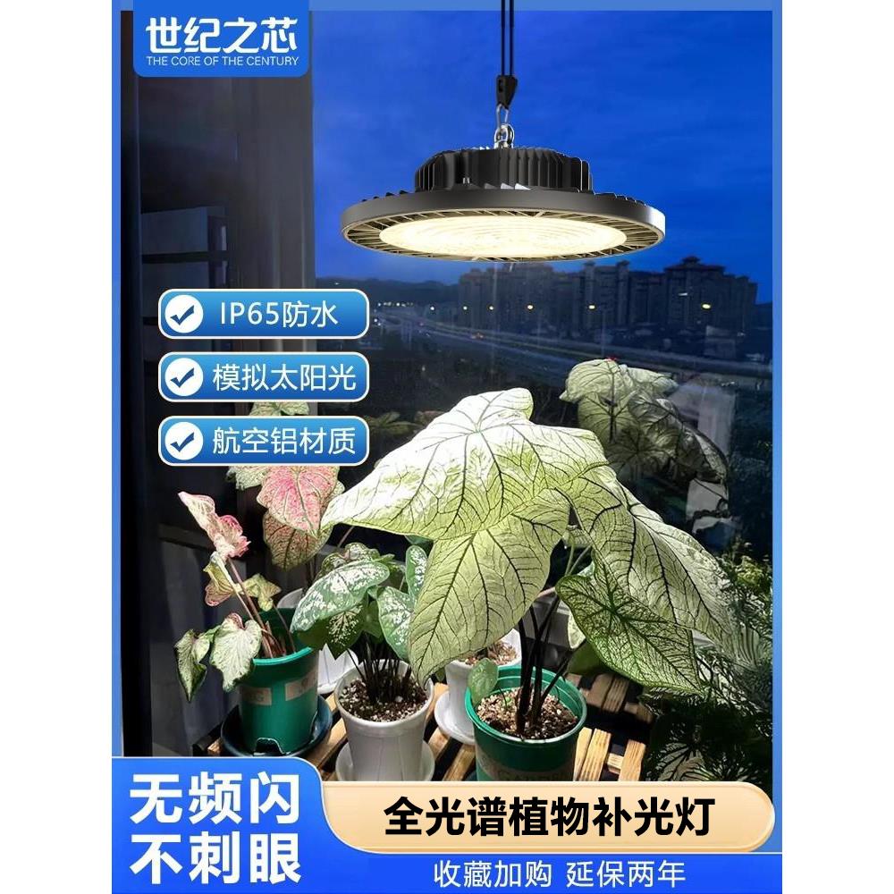 全光谱植物补光灯阳台大棚养兰花卉月季植物生长灯室内led生长灯