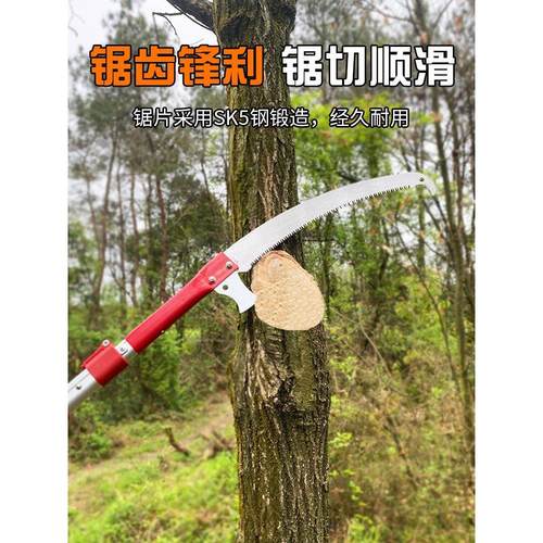 园林工具加长杆伸缩高枝锯手锯果树修剪修枝锯高空锯树枝修树锯子
