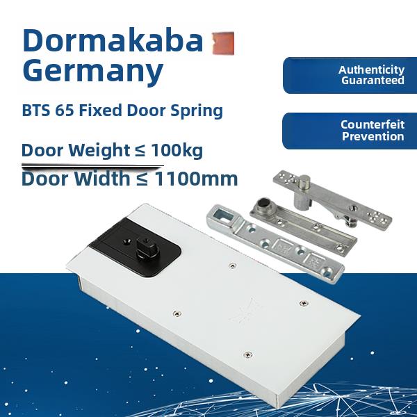 原装正品DORMA德国多玛BTS-65/BTS-84/BTS-75V/BTS-80地弹簧配件