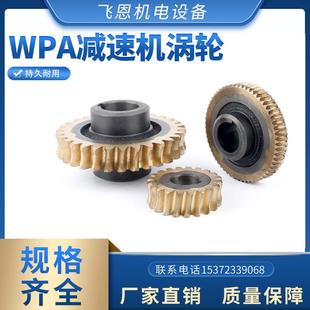 蝸輪蝸桿減速器 速比10 60蝸輪配件