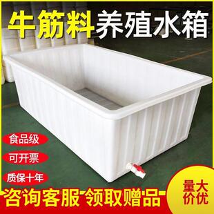 养殖牛筋水箱塑料加厚带排水大号养鱼龟储水带盖长方形泡瓷砖专用