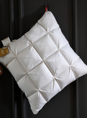 床头羽绒靠垫芯大靠背垫客厅沙发抱枕95白鹅绒办公室腰Z枕卧室靠