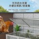 鸡笼子家用室外特大号加密网片防黄鼠狼养殖笼芦R丁鸡自动清粪鸡