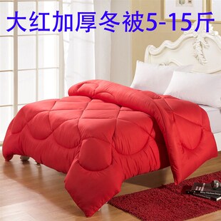 12斤丝绵被冬被冬天棉被芯加厚保暖宿舍1.5米X单双人学生被