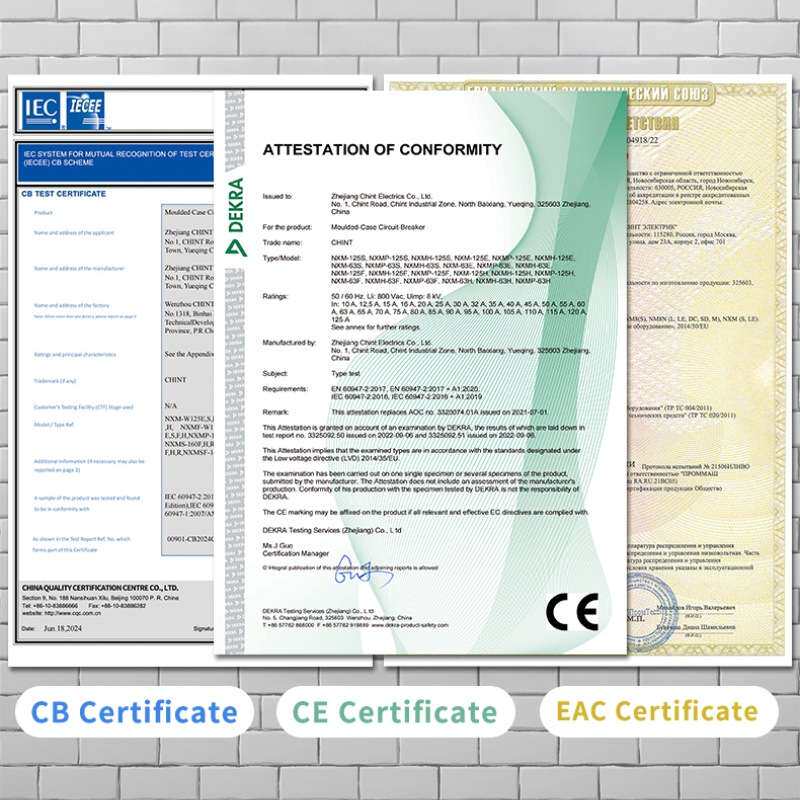 Chint NXM MCCB 100A 125A 160A 250A 400A 630A 800A 1000A1600A