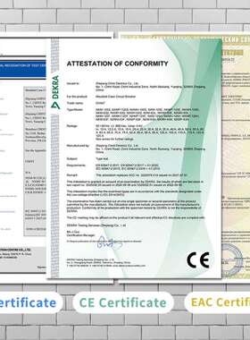 Chint NXM MCCB 100A 125A 160A 250A 400A 630A 800A 1000A1600A