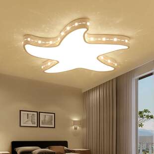 星星卧室灯吸顶灯简约后现代创意餐厅过道灯圆形灯海星灯