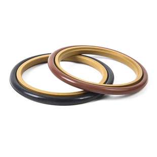 450 8.1 420 484 460 474 454 430 444 424 轴用斯特封STd400