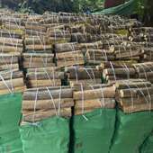 耐烧户外干柴火篝火槐木劈柴地锅灶台无烟炉壁挂炉野餐烧烤干柴火