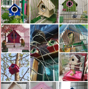 户外鸟窝鹦鹉窝虎皮牡丹鹦鹉繁z殖箱大号保暖实木孵化箱鸟巢窝挂