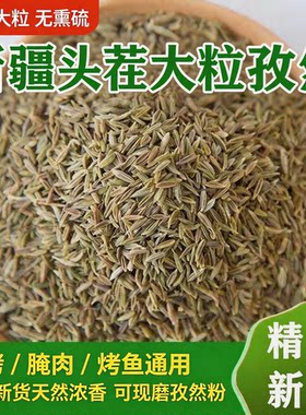 新疆正宗孜然粉官方旗舰店特级纯正大颗粒家用商用烧烤肉蘸料撒料