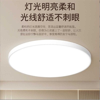 纯光控led吸顶灯 220V物业过道智能感应晚上自动长亮白天自动熄灭