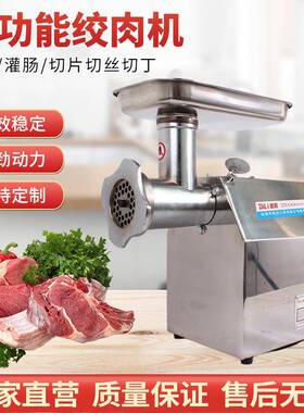 DILI22型不锈钢电动台式绞肉机碎肉机绞鸡架鱼肉灌腊肠辣椒肉馅机