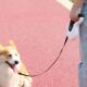 狗狗牵引绳自动伸缩牵引器外出遛狗专用溜狗绳小型大型犬宠物用品