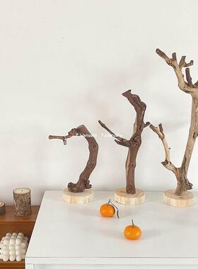 TJJ丨原木树杈摆件ins冷淡风书架客厅树枝摆设饰品摄影拍摄道具