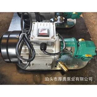 手提泵无品牌 齿轮泵 2油泵WCB5020抽V单项电动齿轮泵便携式