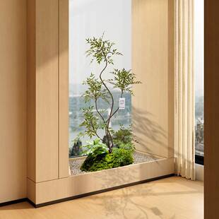 森间仿真绿WVP植南空天竹阳台造风景装饰微景观植物型落大地简约