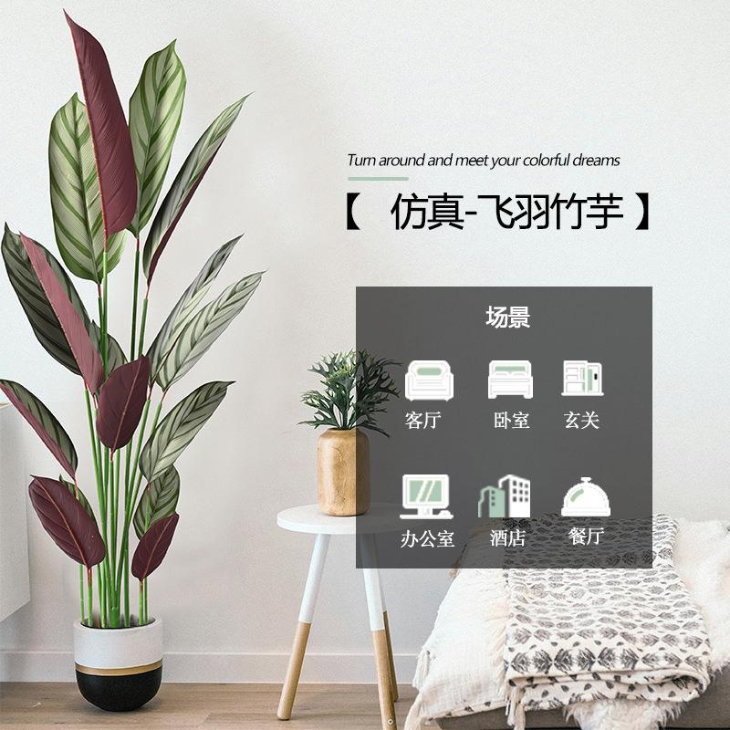 仿生绿植飞羽竹芋盆栽室内大型落地摆件仿真树绿化工程人造假植物