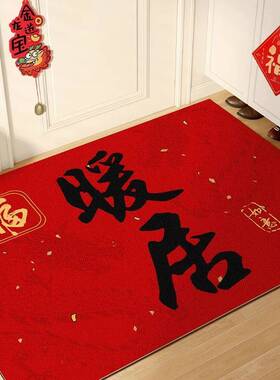 垫入户垫225新款红色龙年FKO家用进门防滑地门脚垫出入0平安地毯