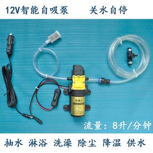 12V智温能泵自抽吸泵水淋浴车载户外房车除尘降浇水花泵90626关水