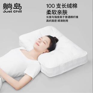 躺岛布里云白鹅绒枕头枕芯 蓬松柔软回弹性好羽绒枕头芯 羽绒枕套