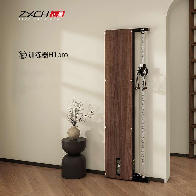 ZXCH/正星H1Pro壁挂式小飞鸟家用多功能健身综合力量训练器龙门架