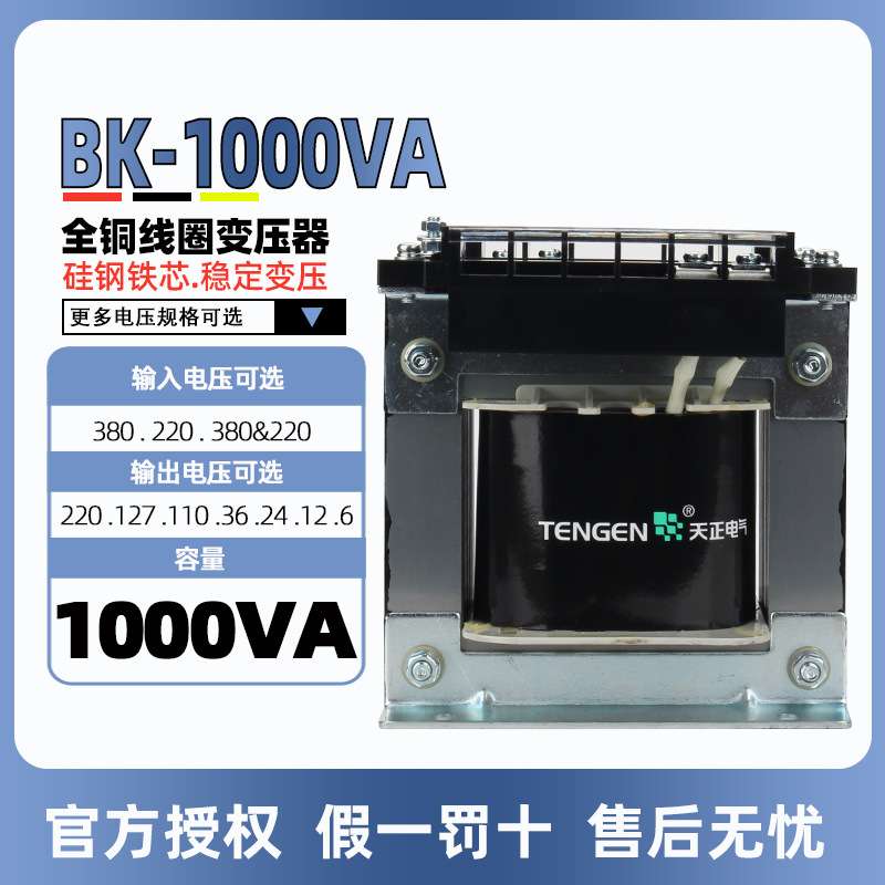 天正BK-1000VA控制变压器交流220 380V转220V110V36V24V12V6V 铜