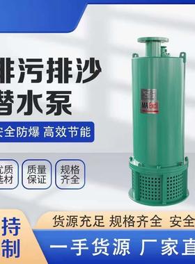 矿用隔爆型潜水排沙泵电泵380v-660v-1140v污水防爆潜水泵