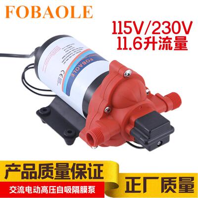 115V电动隔膜泵洗碗机230V房车游艇生活增压供水11.6升自吸抽水泵