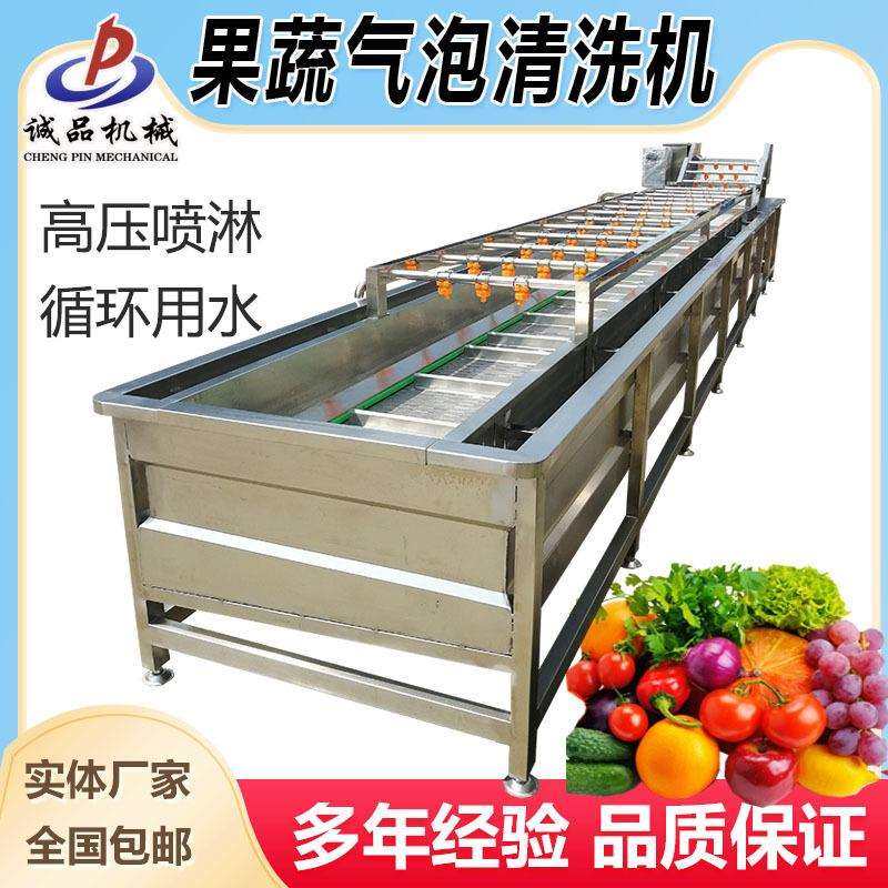 青椒白菜上海青气泡清洗机茼蒿豆芽雪菜洗菜机生姜姜芽气泡清洗机
