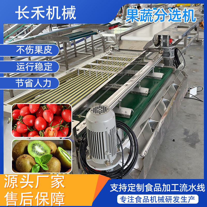商用轨道式果蔬分选机