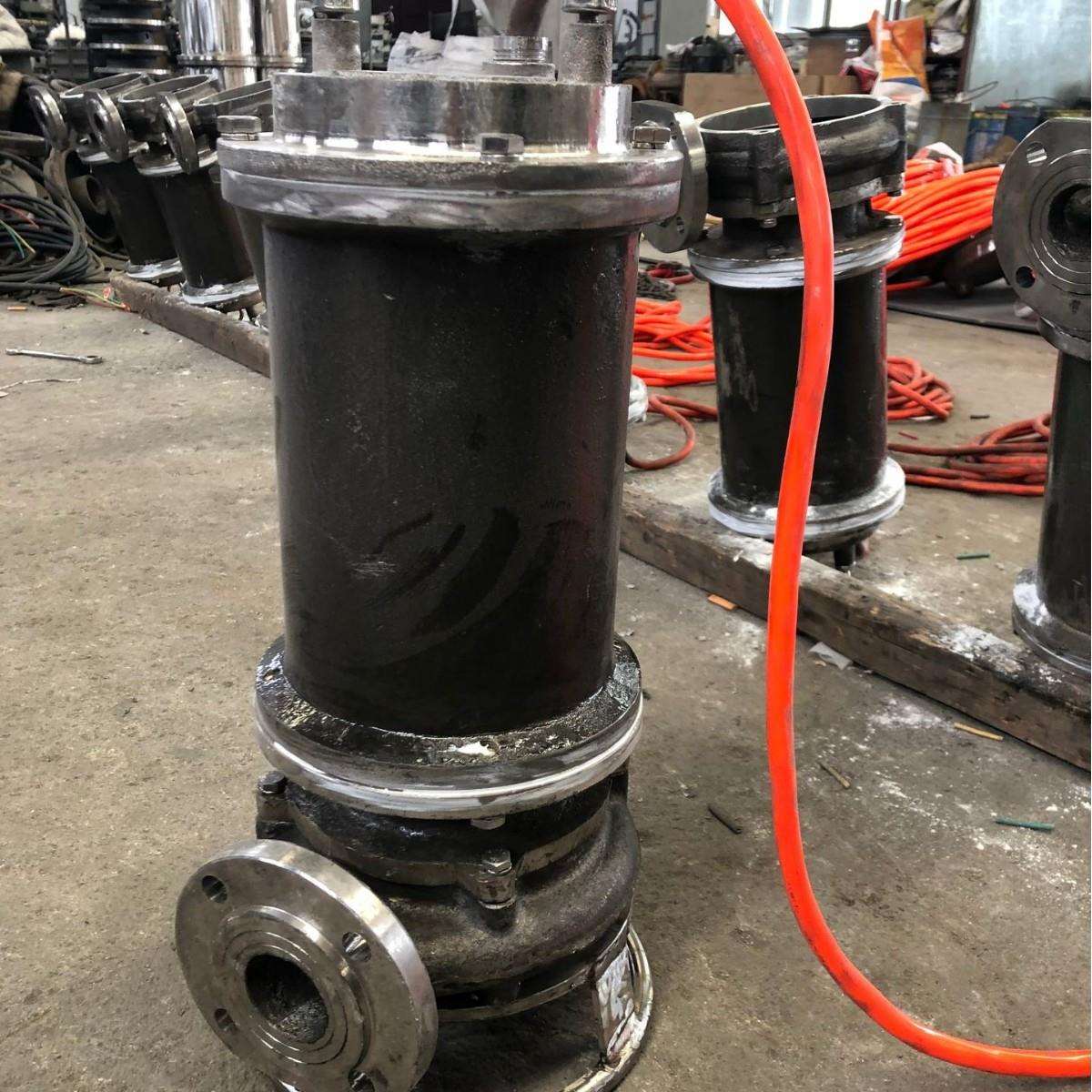 304不锈钢污水泵316L潜污泵渣浆泵三相电潜水排污泵水泵抽水泵