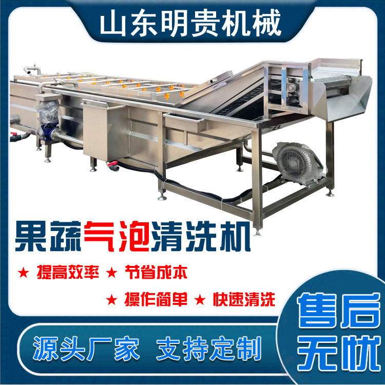 不锈钢气浴自动果蔬清洗机