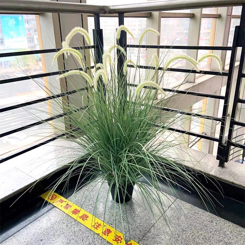 盆栽批发洋葱草仿真植物草盆个性仿真狗尾草加大盆装饰造景绿植