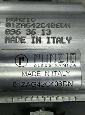 意大利RONZIO罗茨齿轮泵01ZAG11C442AD+01ZA0110042PD