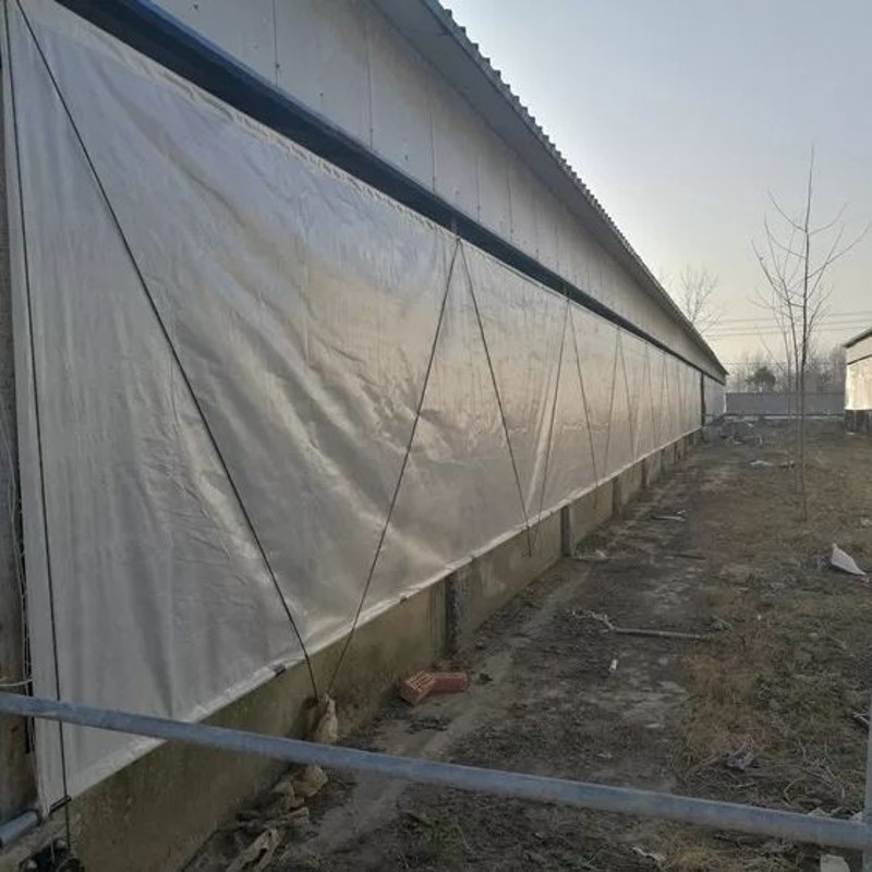 定制车边每米养殖场防寒保温防雨透光布透明PE升降遮风布2*100图片