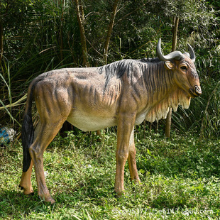 大型仿真角马动物玻璃钢模型花园庭院园林景观摆件绿地公园装饰品